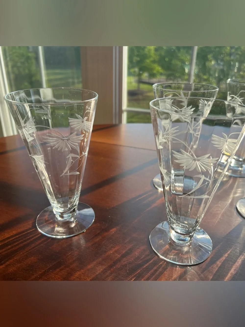 Vintage Atomic MCM Mid Century Modern Etched Glass Floral Pilsner Set of 6